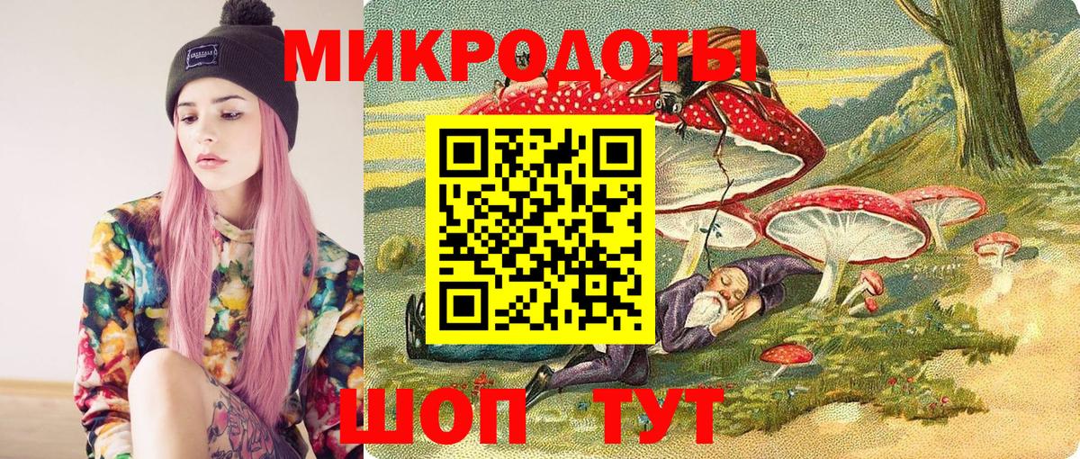 Псилоцибиновые грибы мицелий Кузнецк